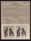 Thorax. Heart and Pericardium - no. 4